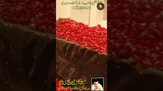 Batala Sharifs BIGGEST Salana Urs Mubarak 10 RabiulThani Celebration 16842024 [upl. by Auqinahs]