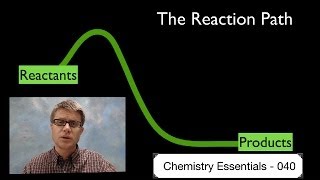 The Reaction Path [upl. by Adnamaa]