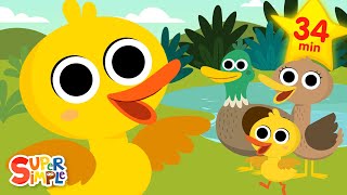 Ducks Ducks Ducks 🦆  Quacky Kids Songs  Super Simple Songs [upl. by Srevart]