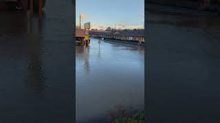 Hendersonville NC Flooding [upl. by Ambrosio13]