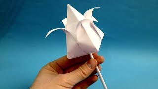 how to make paper tulip paper tulip flower [upl. by Gona]