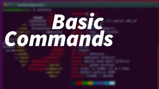 Linux Tutorial  Basic Linux Commands for Beginners [upl. by Uoliram23]