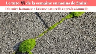 Comment enlever la mousse  5 astuces  un produit écologique [upl. by Omer]