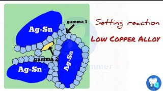 Dental amalgam  Setting reaction  Dental amalgam part 2 [upl. by Renfred]