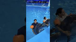 ডলফিনের সাথে রাকিব রিতু সাঁতার কাটছে 😍  Swim With Dolphins 🐬 shorta [upl. by Anaitsirk]