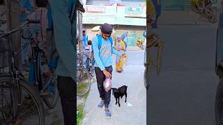 ছাগলকে নিয়ে সারাদিন ঘুরলাম বালুরঘাটে 🐐 minivlog vlog [upl. by Renaud]