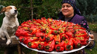 From Garden to Plate  Traditional Stuffed Bell Peppers [upl. by Llatsyrc]