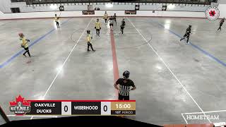 Mens C  Oakville Ducks vs Wiserhood [upl. by Harshman892]