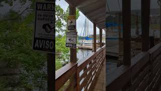 Bayou Joes Marina and Grillfloridafoodpanamacityboatscocktailsmarinaseafooddockside [upl. by Llenrep]