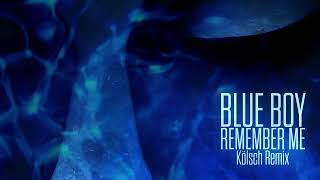 Blue Boy  Remember Me Kölsch Remix [upl. by Eeryn]