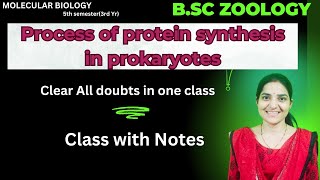 Process of Protein Synthesis In Prokaryotes BSc Zoology 5th semesterprokaryotic translation [upl. by Roosnam]