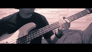 Beggin  Maneskin Short Bass Cover [upl. by Sucitivel]