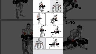 Top 6 Dumbbell Bicep Workout workout bicepsworkout [upl. by Tisdale]