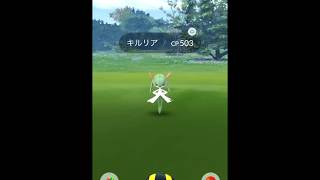 【Pokémon GO Excellent Throw】281 キルリア Kirlia [upl. by Leatrice]