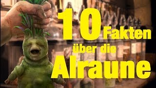 10 FAKTEN über die ALRAUNE 🌿 [upl. by Esojnauj]