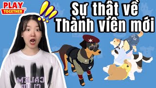 Mây tiết lộ sự thật về thành viên mới và cho tụi nhỏ trải nghiệm tính năng đánh hơi  Play together [upl. by Aimek]