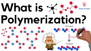 What is Polymerization [upl. by Bornstein]