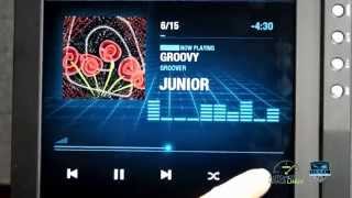 TIZEN IVI  DLNA Media Player Demo [upl. by Kaela]