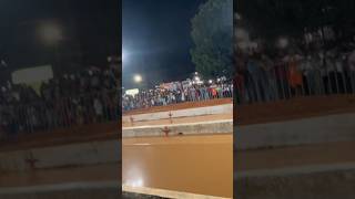 Namma Kambala Panapila tulunadu mangalorea kambala reels travel kambala [upl. by Nollat121]