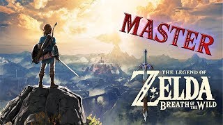 Best of Zelda Breath of the Wild  Master Mode [upl. by Eillit708]