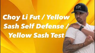 Choy Li Fut  Yellow Sash Self Defense  Yellow Sash Test [upl. by Robertson350]