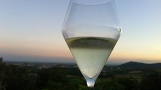 Franciacorta The Best Sparkling Wine You Have Never Heard Of  Wine Oh TV [upl. by Erelia84]