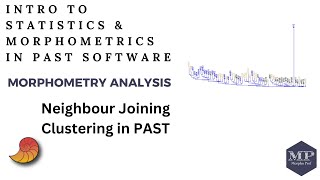 35 Neighbour Joining Clustering in PAST Software [upl. by Kcirddec]