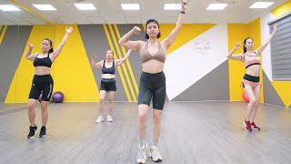 25 Minute Aerobic  Walking Exercises to Lose Belly Fat  Zumba Class [upl. by Hnacogn74]