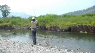 quotFly fishing in USAquot épisode 5  le Parc National de Yellowstone [upl. by Karney482]