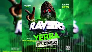 Yerba Del Diablo I Tnt amp Audiofreq I Ravers 2024 [upl. by Ailin]