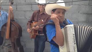 Los Gavilancitos de Nuevo León  Polka El Tololoche Con Juan Torres [upl. by Anerev]