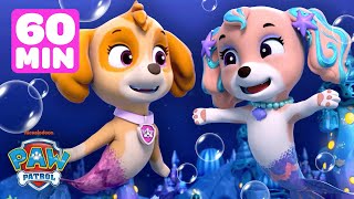 Skye amp PAW Patrol Aqua Pups Underwater Rescues w Coral  1 Hour Compilation  Shimmer and Shine [upl. by Hut822]