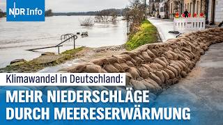 Klimawandel Extreme Wetterereignisse durch erwärmte Ozeane  NDR Info [upl. by Aihsile]