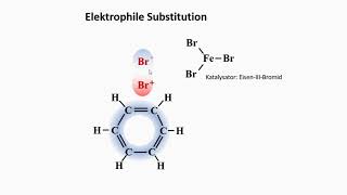 Elektrophile Substitution [upl. by Liana887]