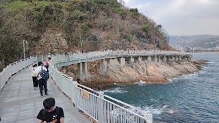 鹽田海鮮街 海濱棧道 大梅沙 奧特萊斯購物村 棲息圖書館 [upl. by Ikkiv]