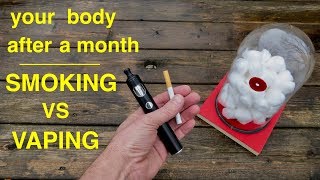 How Smoking vs Vaping Affects Your Lungs ● You Must See This [upl. by Neslund]