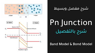 Pn Junction  Full Explanation [upl. by Garvy]