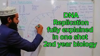 DNA Replication fully explained in Urdu Hindi oneshot 2nd year biology  class 12 biology [upl. by Nishom208]