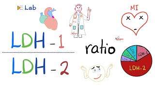 LDH1 to LDH2 Ratio and the flipped LDH  Lactate Dehydrogenase and Heart Attacks ❤️‍🩹 [upl. by Asha]