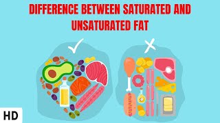 Difference Between Saturated And Unsaturated Fat [upl. by Farrel24]