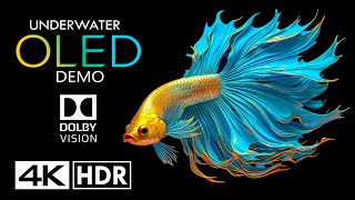 World of Underwater🐟OLED Dolby Vision 4K HDR 60FPS 4K Video [upl. by Sang]