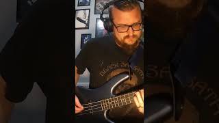 Reptilia Bass Cover bass behringer oneodio ibanez thestrokes [upl. by Ocihc450]