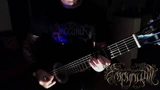 EMPYRIUM  The Ensemble Of Silence  guitar cover [upl. by Omarr255]