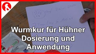 112 Wurmkur für Hühner  einfache Anwendung  Jensman and the Huhns [upl. by Toh]