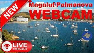 LIVE WEBCAM Magaluf  Palmanova Plaja Son Maties 4K UHD 247 live mallorca baleares webcams [upl. by Danialah]