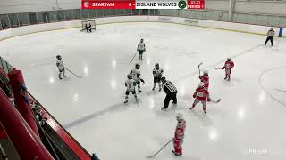 2013 AAA  Spartan Hockey Academy vs Island Wolves [upl. by Dobb]