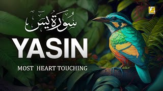 Worlds most beautiful Quran recitation of Surah Yasin Yaseen سورة يس  Zikrullah TV [upl. by Ynahpets25]