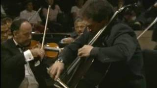 Dvorak Cello Concerto Op 104 Part 1William Molina Cestari [upl. by Ahsyak161]