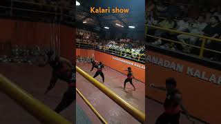 Kalari show Thekkady [upl. by Bigner]