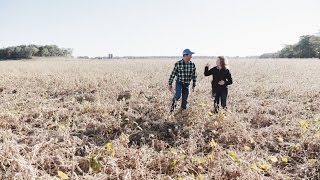 Completing the 100Bushel Soybean Challenge with BASF [upl. by Eedrahs333]